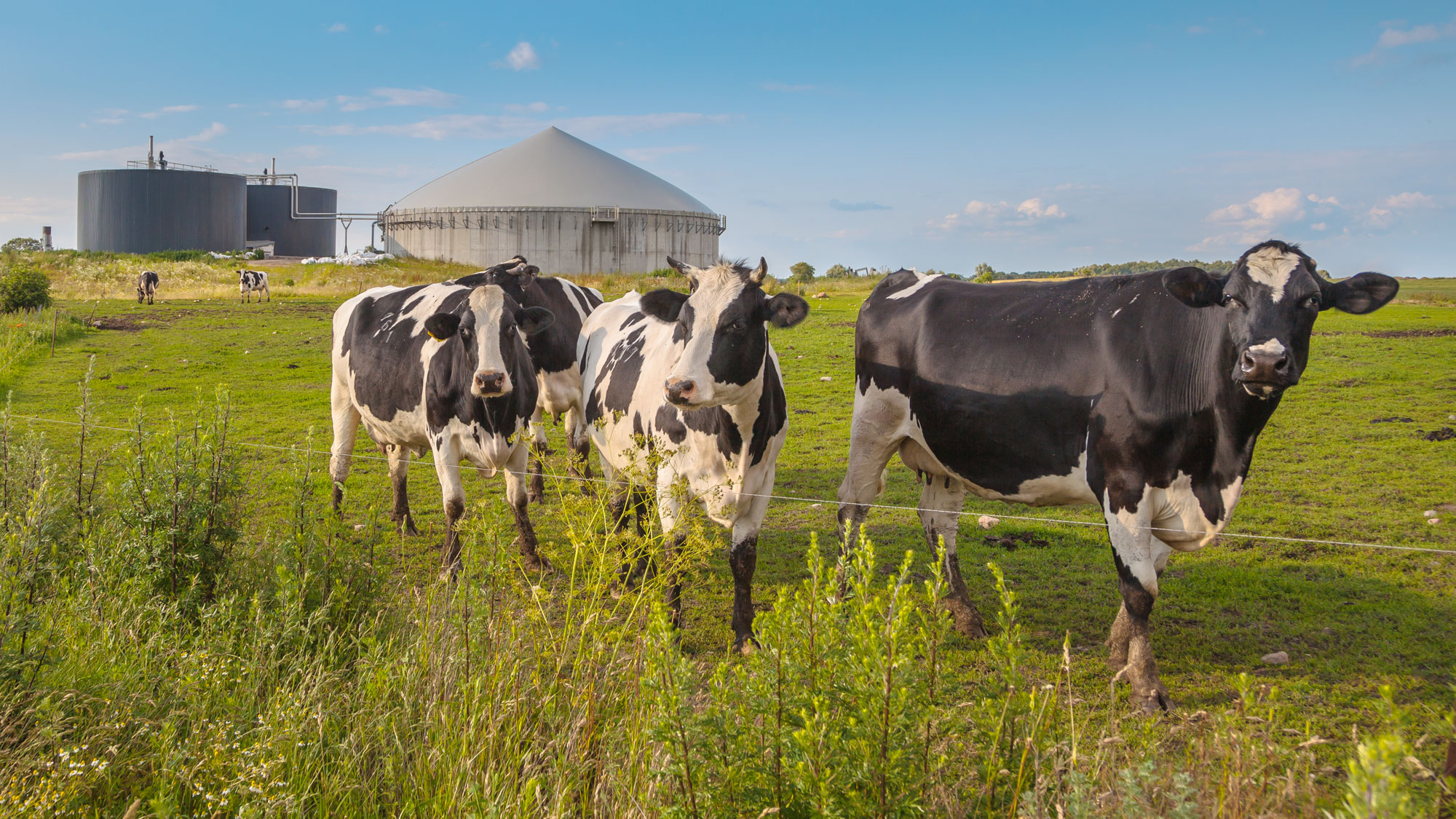 The agriculture sector was identified as one of four key sectors with circular opportunities in the rural north of the Netherlands.