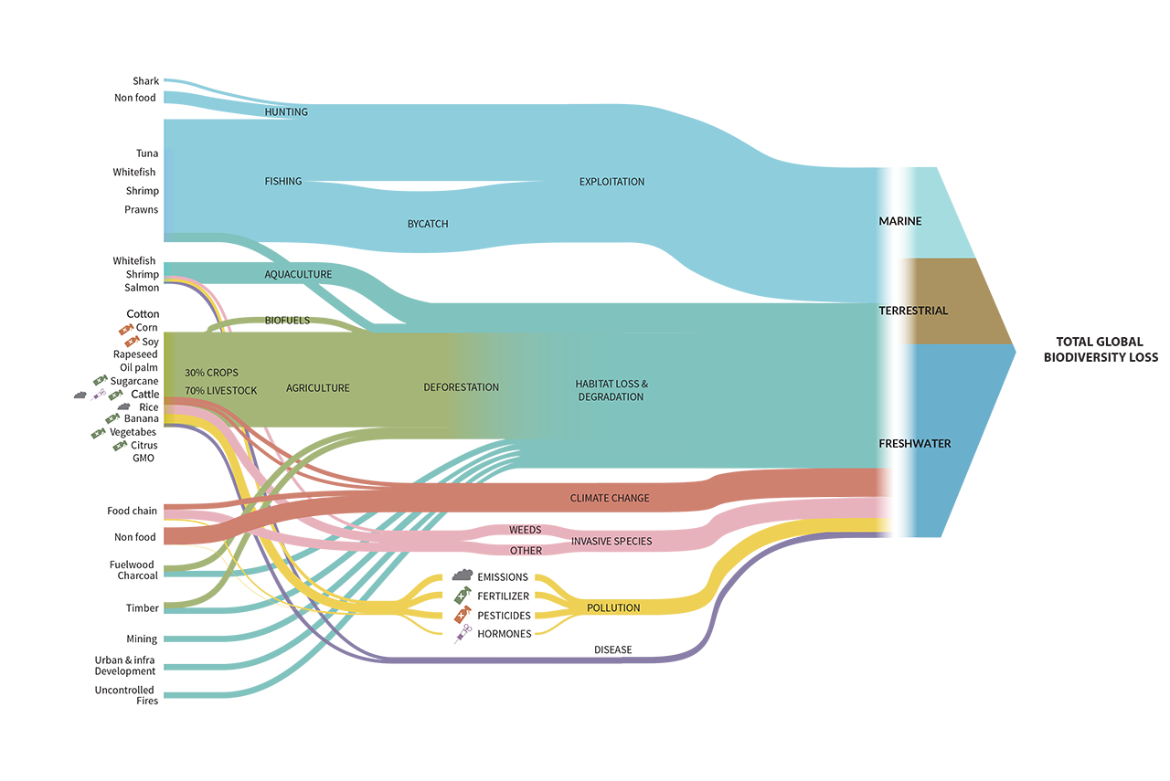 The Global Food System: Trends, impacts, and solutions