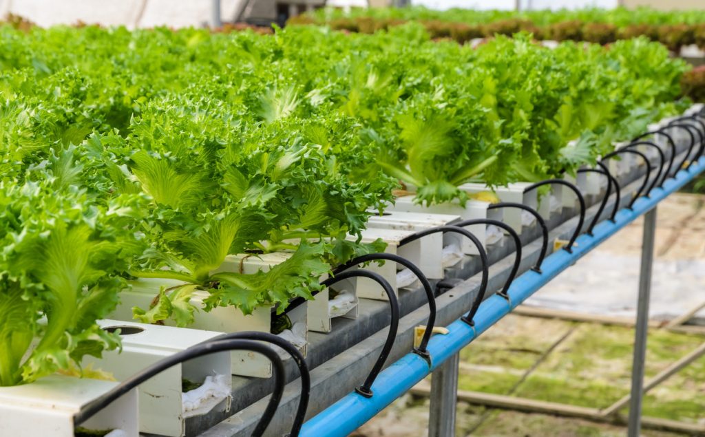 Metabolic Ventures_Food_agtech